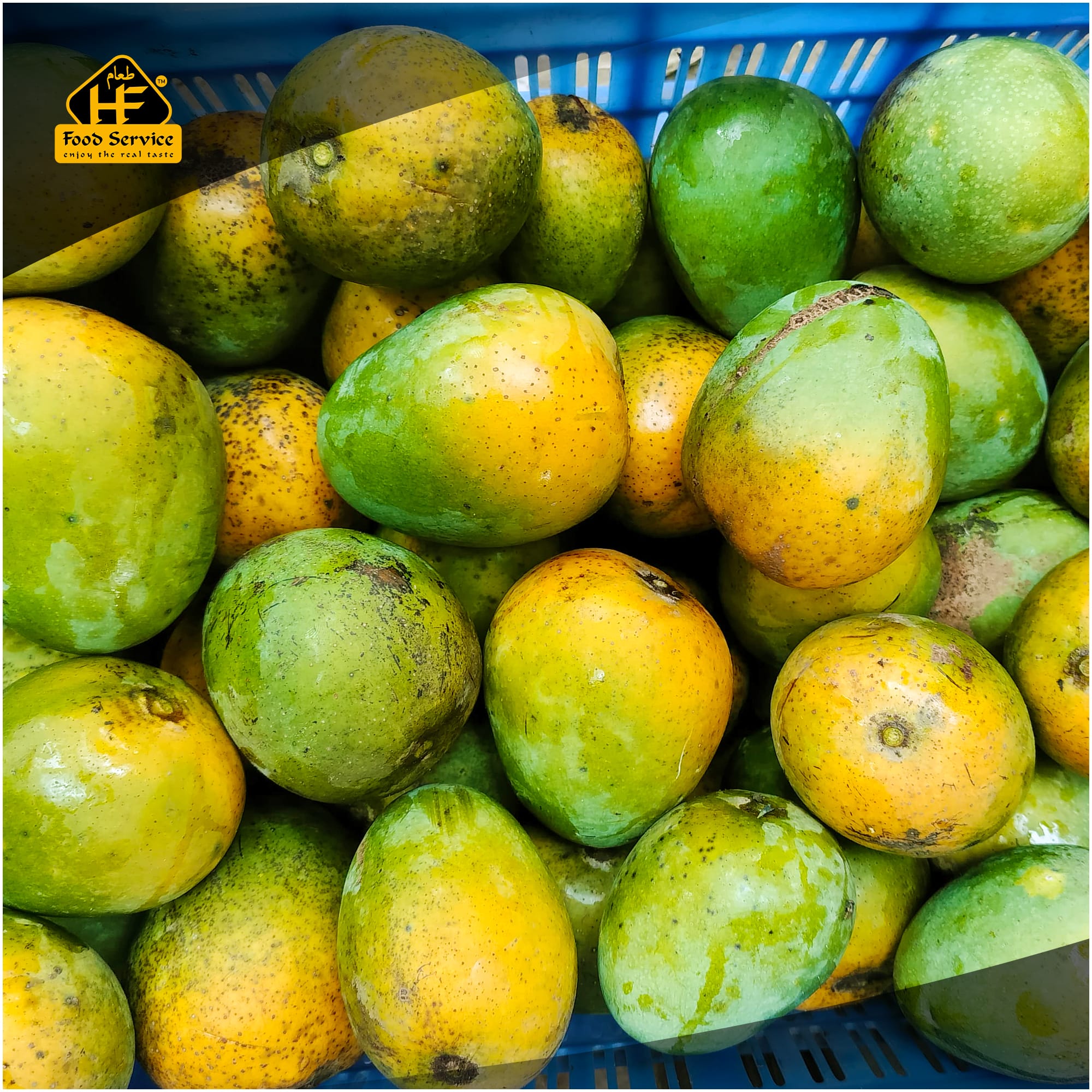 হিমসাগর আম । Himsagar Mango হিমসাগর আম । Himsagar Mango - Image 2