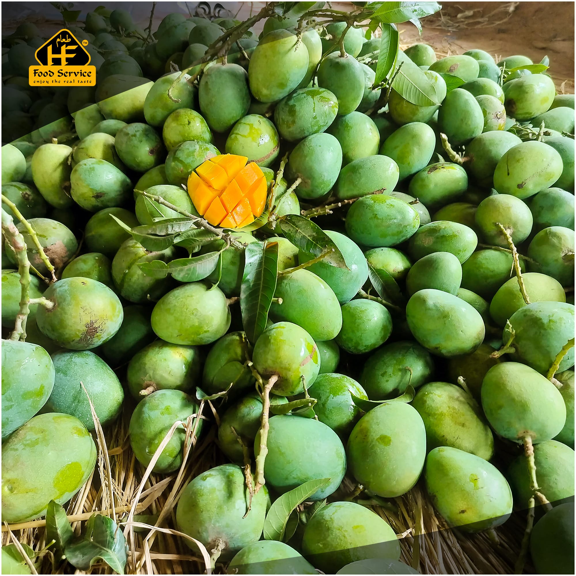 হিমসাগর আম । Himsagar Mango হিমসাগর আম । Himsagar Mango - Image 3